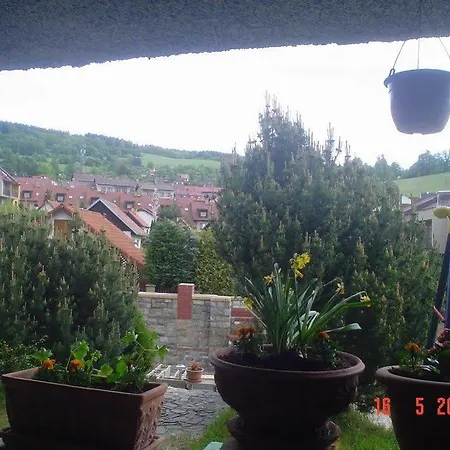 Garibaldi Guest house 2*